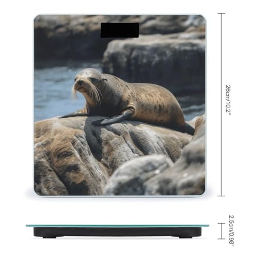 Báscula digital de baño con vidrio templado y pantalla LCD miniatura 2