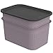 Rotho Brisen 2er-Set Aufbewahrungsbox 4.5l mit Deckel, Kunststoff (PP recycelt), Mauve, 2x4.5l, (26,5 x 18,5 x 17,7 cm)