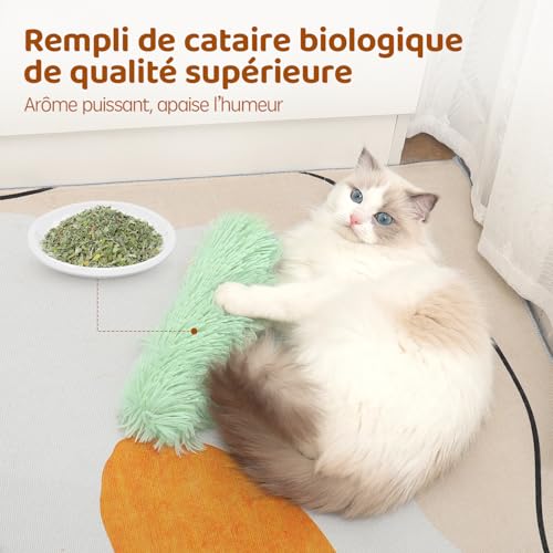 Potaroma Lot de 3 Jouets à Herbe à Chat – Oreillers Interactifs avec Bruit de Froissement pour Chatons et Chats d’Appartement – Image 4