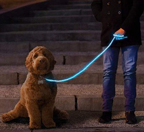 NiteyLeash - LED Lighted Pet Dog Leash (Blue)