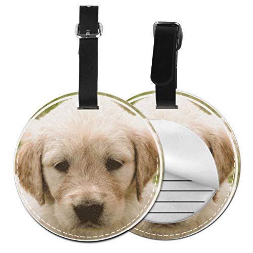 Preisvergleich Produktbild Kofferanhänger Inklusive Adressfeld, PU Leder Kofferschild, Gepäckschild für Koffer Tasche Rucksack Hündchen Gesichts Labor golden
