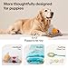 Puppy Essentials Starter Kit - New Born Dog Toys Gifts Heartbeat Puppy for Dogs, Teething Toys, Heat Packs & Cozy Blanket for Crate Training & Anxiety Relief