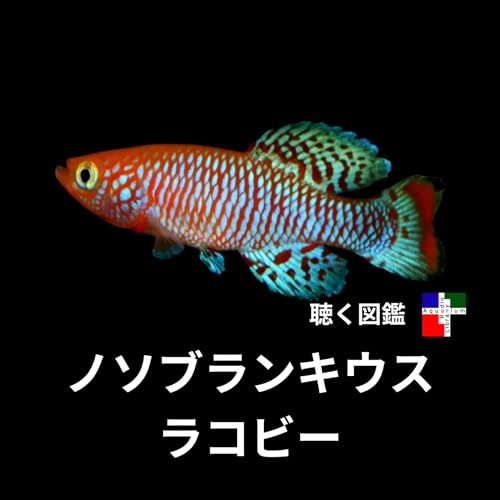 『年で一生を終える魚「ノソブランキウス」の驚くべき生存戦略』のカバーアート
