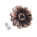 antiker schrankkoffer Antiker Griffknopf, Schrauben enthalten.