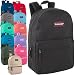 Classic 17 Inch Backpack Case Pack 24 (Assorted 12 Color Pack)