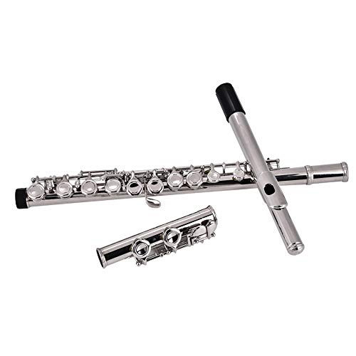 C Flöte 16 geschlossen Löcher Querflöte, 16 Löcher C Tonart Holzblasinstrument mit Korkfett Reinigungstuch Stock Lederbox