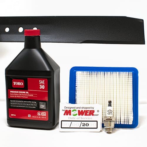 The Mower Shop Super Recycler with Briggs and Stratton Engine Tune Up Kit (133-8183-03, 491588S, 38916, J19LM)