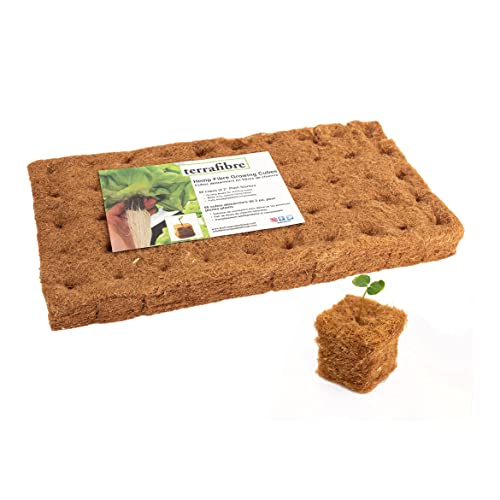 Terrafibre Europe Bio Anzuchtwürfel - Anzuchttray 50er Stecklingsblöcke 5cm - 100% Hanf Anzuchttöpfe Anzuchterde Anzuchtset Cover