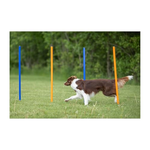 Trixie Agility Slalom, 12 Stangen, 115×ø 3 cm