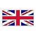 Crazy Novelty Guy Tablica rejestracyjna, metalowa etykieta na toaletkę, flaga brytyjska, Union Jack, Wielka Brytania, 12 x 6 cali (30,5 cm x 15,2 cm)