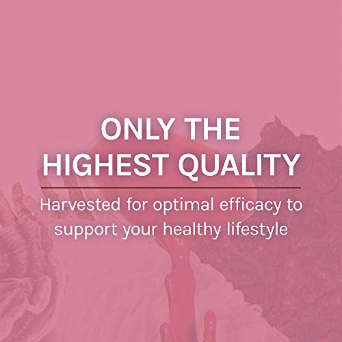 Host Defense, Mycobotanicals Microbiome Powder, Digestive Support With Probiotics, Mushroom Supplement, 3.5 Oz, Plain #TOP7