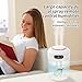 Imagen de Humidificador con doble boquilla de spray