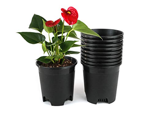 0.5 Gallon Nursery Pot Plastic Planters for Outdoor Indoor Plants 5.5 Inch Gardening Flower Pots 10-Pack 5 Inch Plant Pots with Drainage Holes