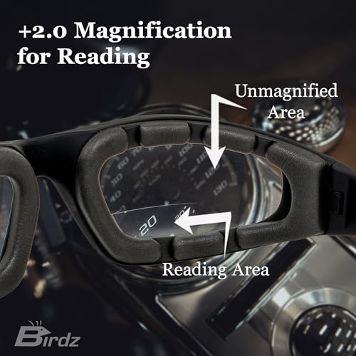 Image of Birdz Eyewear Oriole Bifocal Sunglasses 2 Pairs Black Frames 2.0x with Clear & Smoke Lenses