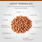 SPECIFIC® Digestive Support (CID) 7 kg - Trockenfutter für Hunde - Unterstützt die Darmgesundheit - Leicht verdaulich - Ballaststoffarm - Mit Postbiotika - DECHRA Veterinary Products