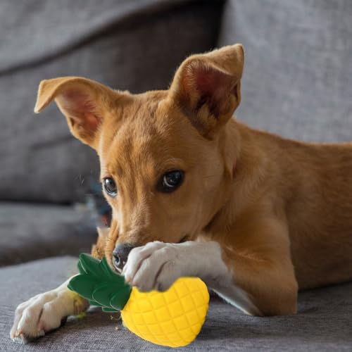 TZQFROCE Ananas Hundekauspielzeug Kauspielzeug Hund Unzerstörbares Hundespielzeug Interaktives Hundespielzeug Gummi Spielzeug Hund Ananas Dog Toys Hunde Quietschspielzeug Für Drinnen Und Draußen