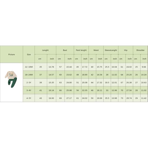 Fernvia Toddler Baby Boy Fall Clothes Animal Print Long Sleeve Pullover Tops + Drawstring Pants Winter Outfits (C-Green Chicken, 18-24 Months)