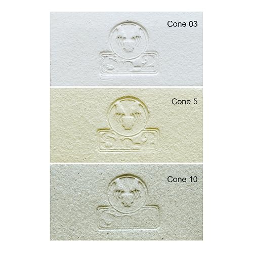 SIO-2 PRAF White High Fire Sculpture Clay, 4 lb (Cone 6-10) Natural Modeling Pottery Clay for Sculpting & Hand Building