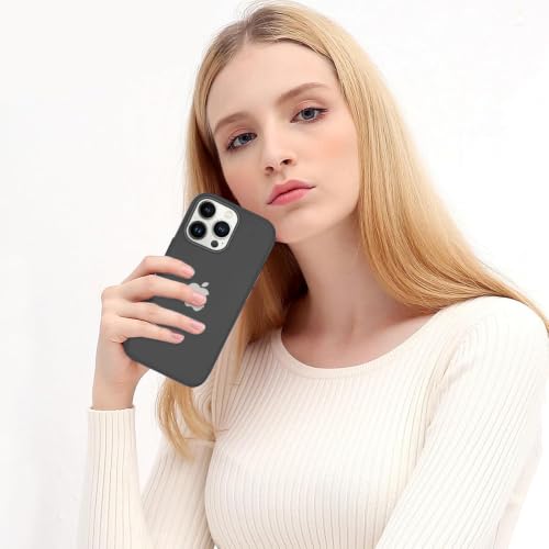 Image of iPhone 16 pro Max Silicone Back Case | Shock Proof Design & Camera Protection | Premium Rubberised Apple iPhone 16 pro Max Cover (Microfiber Lining) | Ultra Smooth Silicone - Black