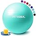 arteesol Pelota de Ejercicio, 45cm/55cm/65cm/75cm Pelota de Yoga Fitness Estabilizador Resistente Bola de Equilibrio con Bomba rápida para la Fuerza del núcleo (75cm, Océano Azul)