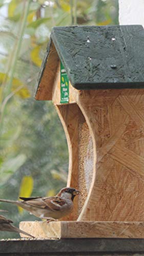 Image of Birds Wall Mounted House Feeder