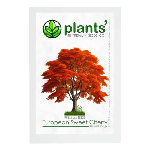 European Sweet Cherry Tree | Premium Seeds | Prunus avium 'Fall' | Plants'® (Premium Seeds, 5)