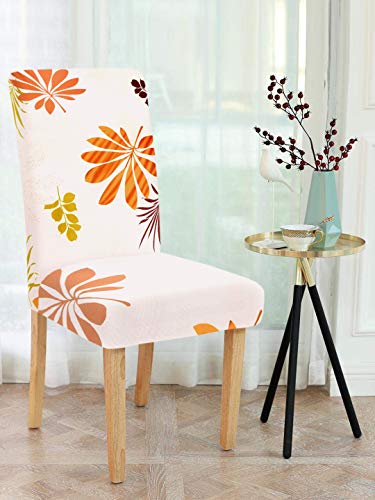 Image of Cortina Dining Chair Slipcovers | Protection Chair Covers | Floral Print, Removable, Washable | Universal Fit Soft Stretchy Polyester Spandex | Living Room, Kitchen, Party | Pack of 1, Cream 2