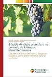  Eficácia de óleos essenciais no controle de Rhizopus stolonifer em uva: Uso de Rosmarinus officinalis L. Origanum vulgare L. como antimicrobianos naturais em frutos