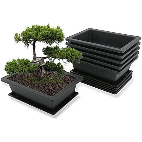 MissFox Bonsai Schale mit Untersetzer Cover