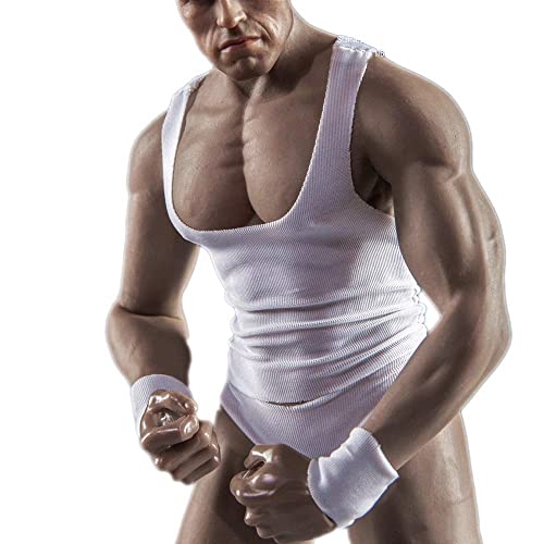 HiPlay JIAOU Doll 1/6 Scale 12 Inches Male Seamless Super Flexible Action Figure-Body Type & Skin Color Selectable (Macho,Suntan)