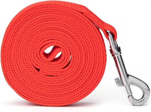 Image of 10 Feet Nylon Training Dog Leash for Small Medium Large Dogs Puppy Lead for Obedience Recall Training, Camping (Red)