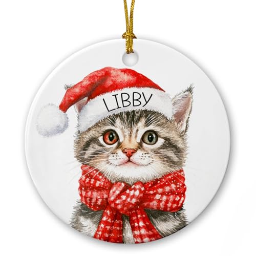 Tabby Cat Brown 2025 Christmas Ornaments, Personalized Tabby Cat Wearing Santa Hat Ceramic Ornament, Tabby Cat Xmas Tree Ornament Gifts for Cat Mom Cat Dad, Custom Name Cats Breed Xmas Ornaments