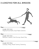 Taglory Hundeleine Mittelgroße Große Hunde Leicht | Doppelseitig Reflektierend | Gepolsterter Griff | Unterstützung 10 bis 75 kg | 1.8m x 2.5cm | Schwarz