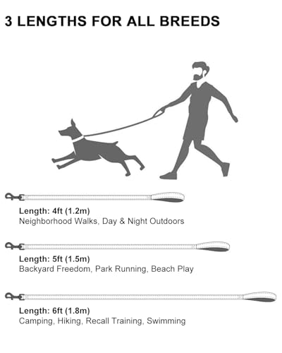Taglory Hundeleine Mittelgroße Große Hunde Leicht | Doppelseitig Reflektierend | Gepolsterter Griff | Unterstützung 10 bis 75 kg | 1.8m x 2.5cm | Schwarz