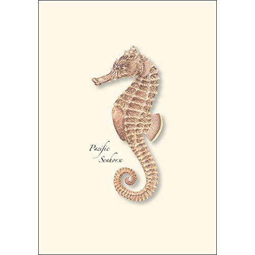 Image of Earth Sky + Water - Pacific Seahorses Notecard Set - 8 Blank Cards with Envelopes (4 each of 2 styles)