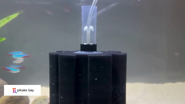 Amazon | pikake bay 水槽 スポンジ フィルター アクアリウム ろ材