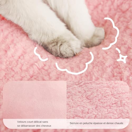 Panier chauffant pour chat couchage requin haute qualité isolant - 6