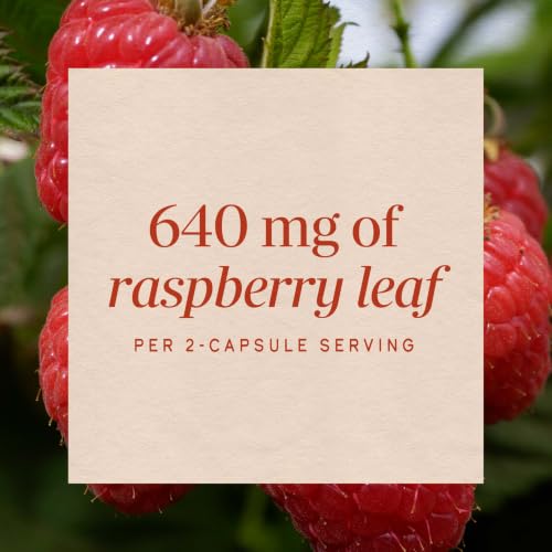 Nature's Way Raspberry Leaf - Traditional Women’s Wellness Supplement for Plant-Based Support* - Traditional Herbal Supplement - Vegan, Gluten-Free & Dairy-Free - 100 Count (50 Servings) - image 4