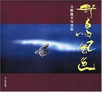 野鳥風色―吉野俊幸写真集 4829931868 Book Cover