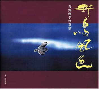 Tankobon Hardcover ???????????? Book