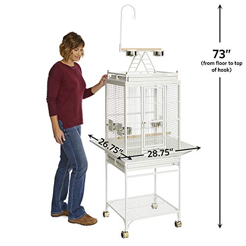 Image of MidWest Homes for Pets Avian Adventures Nina Playtop Bird Cage