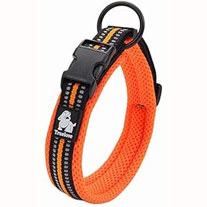 Truelove Dog Training Collar TLC5011 Reflective Premium Buckle Nylon Webbing Pet Dog Collars,High Grade Nylon Webbing No Choke Basic Collars Now Available (M, Orange)