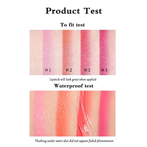 Ownest 4 Colors Double Color Lipstick,Two Tone Candy Moisturzing Waterproof Lipstick Gradient Bitting Lipstick V Styling Biting Lipstick Makeup-Set A