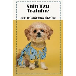 Shih Tzu Training: How To Teach Your Shih Tzu
