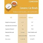 Anti-Vomiting Raised Cat Bowls - 2 × 13 oz Ceramic Cat Food & Water Bowls with Non-Slip Stainless Steel Stand, Dishwasher Safe for Indoor Cats - Image 6