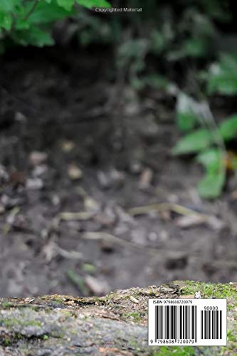 Raccoon Notebook: Portable lined Raccoon - Travel Journal to write in - 120 pages - 6"x9" - Image 2