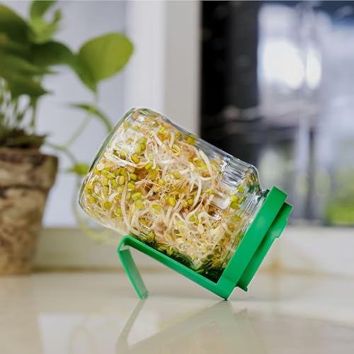 Image of Sprouts Maker Jar 720ml Original Patented Glass Bean & Grain Sprouter | 132 Ventilation Holes, Built-in Drainage Stand, BPA-Free Lid
