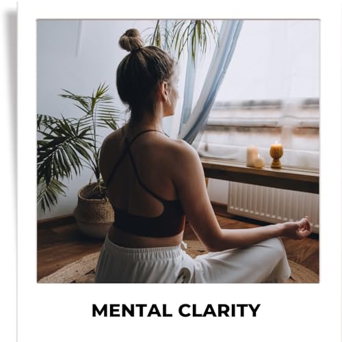 Humming Herbs Red Korean Ginseng with Ginkgo Biloba Leaf, Siberian Ginseng, Supports Energy, Concentration, Immune system and Improves Mental Clarity Bio-available Supplement