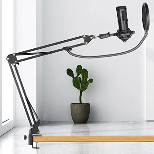 Image of BNF Condenser Microphone Kit For Studio Recording Silver A