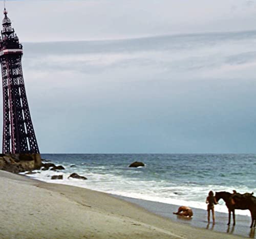 The Best of Rebellion Festival 2019